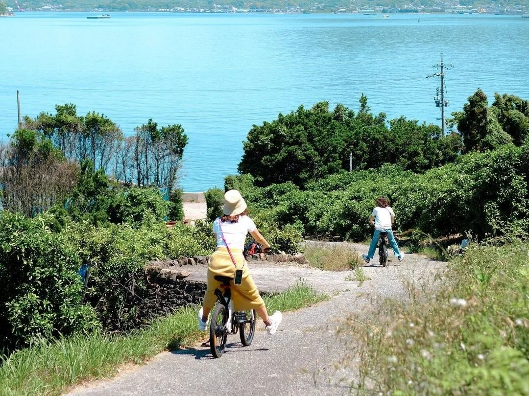 自転車で高根島の道へ出かける風景